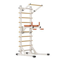Échelle suédoise en bois de hêtre avec cadre de gymnastique en acier au carbone, réglable pour tractions et dips, idéale pour la maison