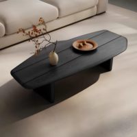 Table basse en bois massif noir Wabi-Sabi, design italien minimaliste irrégulier, table basse portable pour petit salon