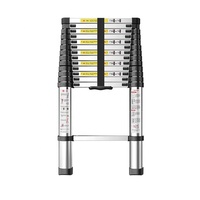 Échelles télescopiques extensibles en aluminium à un seul côté, antidérapantes, faciles à rétracter, portables, 2 m, 2,6 m, 4,1 m, 4,4 m, pour la maison