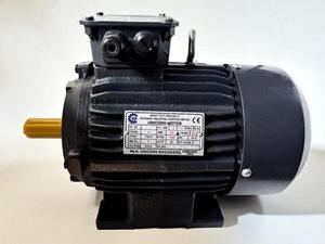 Moteur à induction triphasé 2 CV 4 pôles, monté sur socle, 1440 tr/min, série industrielle robuste haute efficacité - Product Image 3