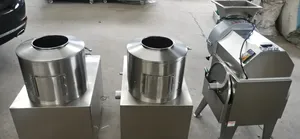 Otomatik zencefil soyucu 150-240 kg/saat patates yıkama ve soyma makinesi