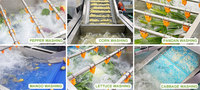 Commerciële Ozon Voedsel Sla Kokosnoot Groene Wortel En Blad Groente Dragon Fruit Luchtbel Desinfectie Wasmachine