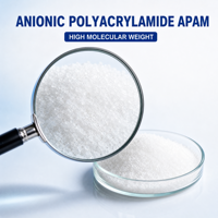 APAM Anionic Polyacrylamide Flocculant Powder untuk Pengolahan Air Limbah Kota
