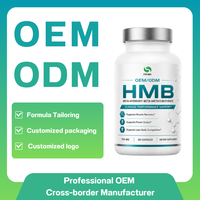 Capsules de complément HMB à base de plantes pour hommes et femmes amateurs de fitness, capsules de HMB Calcium, bêta-hydroxy-bêta-méthylbutyrate, OEM ODM