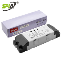 Interrupteur intelligent WiFi 2CH AC/DC 7V-32V, prise en charge de la télécommande 433MHz
