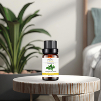 Huile Essentielle de Laurier 100% Pure 10ml – Huile d'Aromathérapie Naturelle pour le Soutien Respiratoire, la Concentration et l'Énergie – Diffuseur