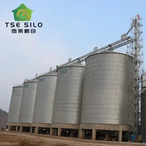 Soybean wheat sorghum paddy grain flat bottom silo for sale