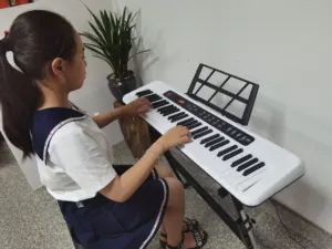 Super Touch Sensitive Musical Instruments Digital Piano Electric Organ Electronic Keyboard For Beginner