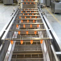 Laveuse Commerciale de Légumes et Fruits, Machine de Nettoyage de Poivre Noir pour l'Australie
