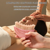 Brosse de massage lymphatique faciale prête à l'emploi, poils synthétiques, manche en plastique, lifting et sculpture de la peau, Gua Sha, masseur beauté pour spa à domicile