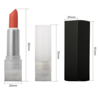 Couleur à lèvres nude longue tenue imperméable à l'eau, étiquette privée, tubes personnalisés avec logo, vente en gros
