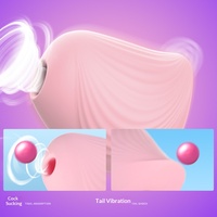 Klitoris-Saugvibrator für Frauen Saugstil-Vibration Wasserdicht USB-Aufladbar 60dB Leise für Vorspiel Stimmungsanregung