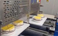 Nouvelle machine de découpe alimentaire ultrasonique automatique 220V grande capacité avec cadre en acier inoxydable et couteau en alliage de titane pour produits surgelés