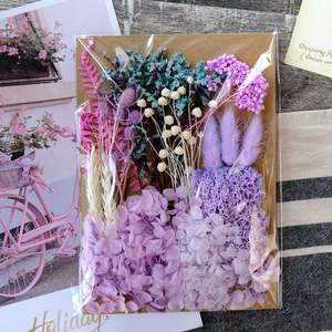 Materiale per Fiori Secchi Fai-da-Te, Eucalipto Essiccato Reale per Matrimoni, Candele Profumate, Resina, Sapone, Nail Art e Creazione di Gioielli - Product Image 4