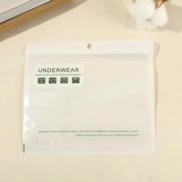 Sacs d'emballage horizontaux en stock pour sous-vêtements, transparents, style Instagram, en CPP, refermables avec fermeture éclair, avec trous, emballage unisexe