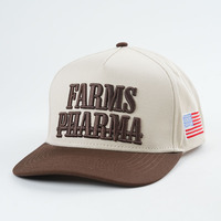 Fabricant de casquette de baseball personnalisée à 5 panneaux en broderie 3D structurée Casquette de baseball en tissu Oxford à pois et motif de fruits deux tons avec logo personnalisé