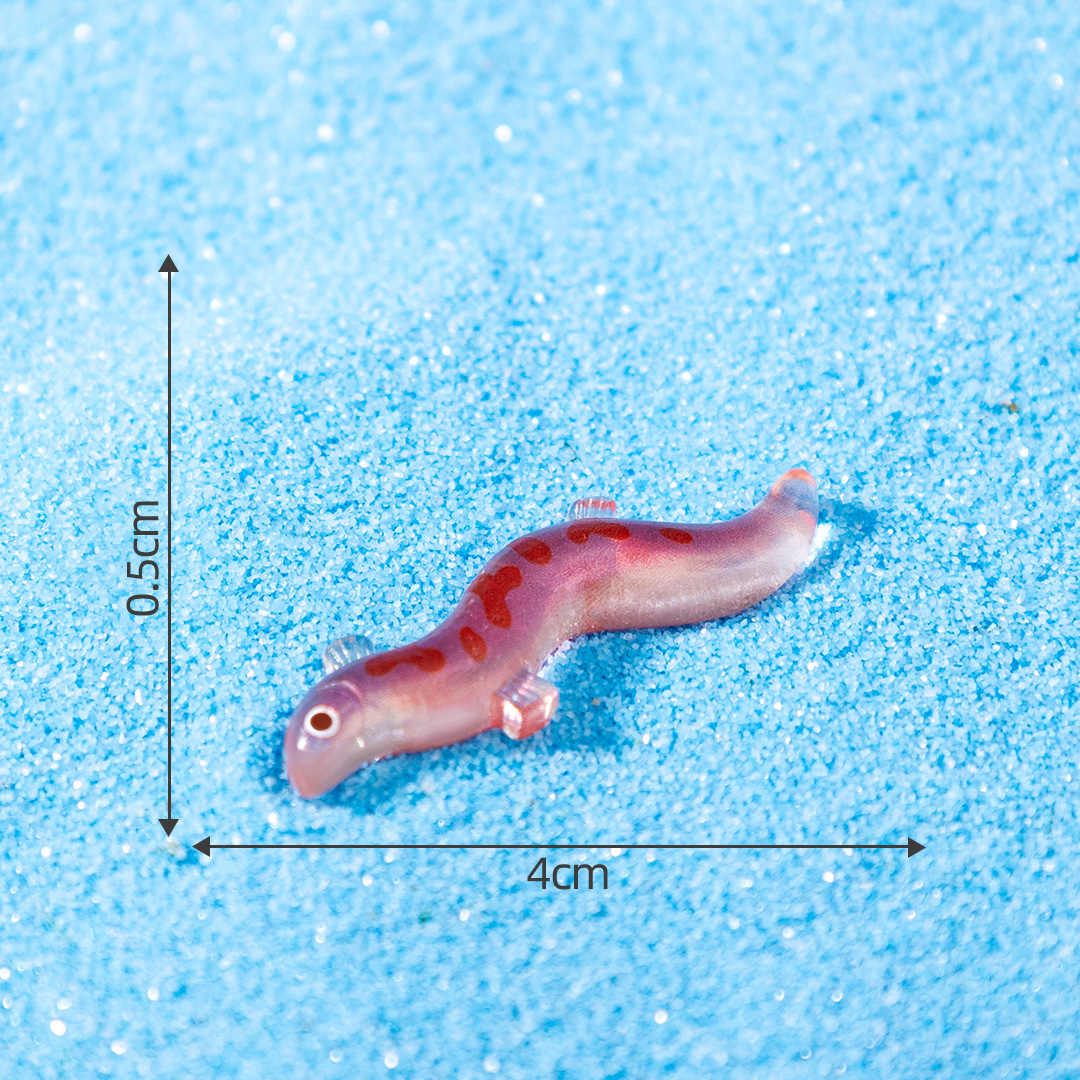 6# ปลาไหล