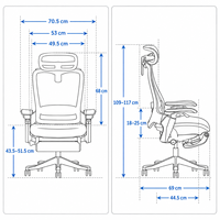 Chaise de bureau ergonomique haut de gamme, design élégant aux courbes fluides, châssis à commande filaire, accoudoirs réglables, appui-tête, soutien lombaire