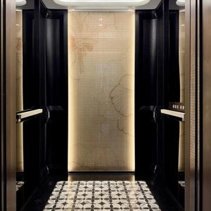 Ascensor de Pasajeros de Vidrio Moderno de Alto Rendimiento para la Construcción de Edificios Altos, Kit de Modernización de Ascensor Incluido - Product Image 3