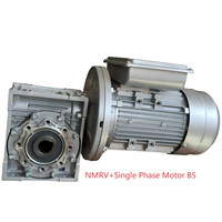 Réducteur à vis sans fin compact 220V robuste et durable, moteur monophasé pour l'automatisation industrielle