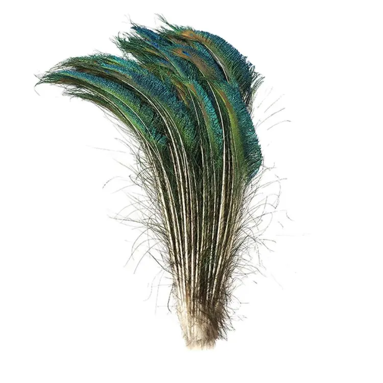 Plumas de espada de pavo real natural para decoración, 30-35cm, venta al por mayor