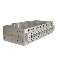 Moule d'extrusion WPC/PVC/UPVC PVC PE WPC Moules d'extrusion de panneau de porte de cadre de porte creux