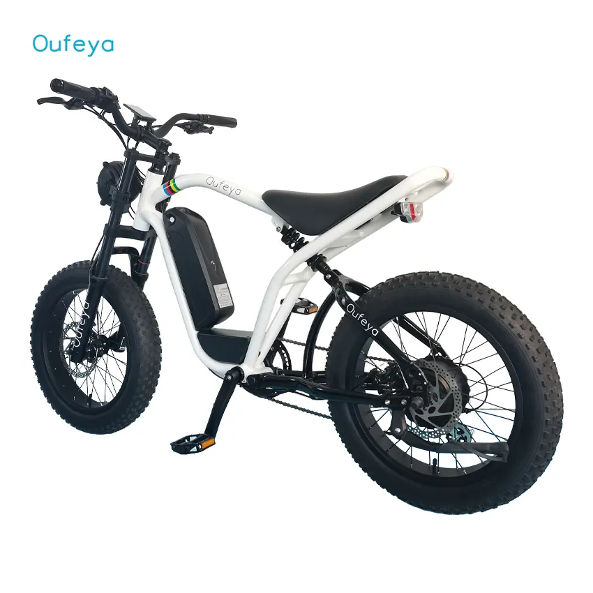 Nuovo stile Snow Bike fat bike motor kit 500w Full Suspension 20*4.0 Fat tire Electric 48V 16ah fat Electric bicycle