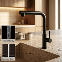 Robinet de cuisine flexible en acier inoxydable 304 noir avec jet cascade laminar, mitigeur eau chaude et froide