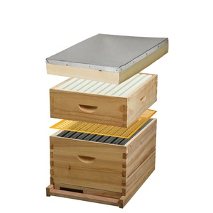 Caja de colmena de miel, colmena de abeja personalizada de madera con queen