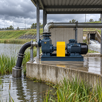 Pompe auto-amorçante robuste série ZW, haute efficacité, résistante aux produits chimiques, pour les eaux usées industrielles et les stations d'épuration