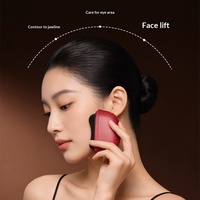 Outil de lifting du visage, masseur rechargeable, étanche, contrôle de la température par bouton-poussoir, planche électrique Guasha en ABS, USB Type-C, 600 mAh