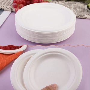 Papel de caña de azúcar desechable, placa de bagazo Biodegradable de 11 pulgadas, 15% de descuento - Product Image 3