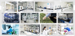 <span class=keywords><strong>Engrais</strong></span> liquide organique à base d'acides aminés à action rapide, pureté à 100 %, protège les <span class=keywords><strong>fleurs</strong></span> et les fruits, <span class=keywords><strong>engrais</strong></span> hydrosoluble - Product Image 6