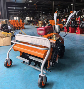 Broyeur d'herbe diesel refroidi par eau avec embrayage intégré et blocage de différentiel pour serres, jardins potagers, fossés et désherbage - Product Image 4