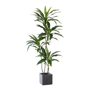 Moderna pianta artificiale sempreverde per interni 90cm/180cm finto velluto verde in vaso in legno brasiliano simulato decorazione d'interni-149 - Product Image 5