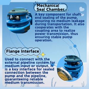 Pompe de surpression verticale multi-étages de précision à excellent rendement hydraulique, forte résistance à la cavitation et stabilisation de la pression - Product Image 3