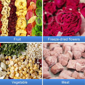 Machine à lyophiliser les bonbons HNOC, commerciale et domestique, 20 kg, machine à lyophiliser les aliments pas chère <span class=keywords><strong>pour</strong></span> la Chine - Product Image 6
