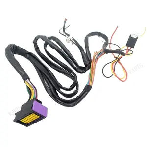 Durable Safety Waterproof 24 Pin Adapter Power Cable ECU Automotive Complete Wiring Harness For Car