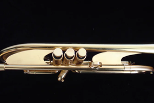 ทรัมเป็ตแบบแผ่นโลหะหนักเคลือบทองแบบซาติน ยี่ห้ออีสเทิร์น มิวสิค โปร รุ่นใช้กับเพลงเฮฟวีเมทัล คล้ายกับ VincentBach 37 - Product Image 2