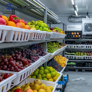 Boîtes de stockage frigorifiques de fruits et légumes de porc congelées pour couper la graisse de poulet Produits pour chambre froide Conteneur <span class=keywords><strong>commercial</strong></span> pour congélateur - Product Image 6