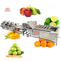 Gelgoog Automatische 500Kg/Uur Slimme Fruitwasmachine Met Luchtdroger Lage Prijs Fruitwasmachine