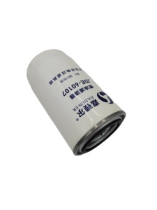 Offre Spéciale Z20140004C nouvel élément de filtre à carburant Diesel pour Jianghuai Shuai Ling modèle 100042238480934 1105100LE646 CLQ-145S - Product Image 5