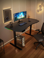 Bureau debout électrique ergonomique PRORIALS Premium en acier inoxydable et fibre de carbone - Table de jeu réglable en hauteur avec LED RGB intégrées