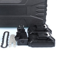 Mini tronçonneuse électrique sans fil de 6 pouces, certifiée CE CB UN38.3, OEM, compacte, sans balais, kit de scie d'élagage portative
