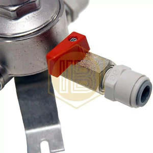 Regolatore a bassa pressione monoblocco con attacco John Guest - Product Image 3