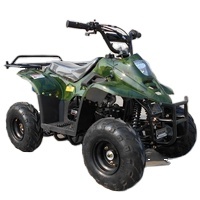 ATV Tao Motor con Rueda de 6 Pulgadas, Arranque Eléctrico, Interruptor de Apagado Remoto, ATV de Gasolina de 110cc, ATV Automático de 12V para Niños, Quad de 125cc