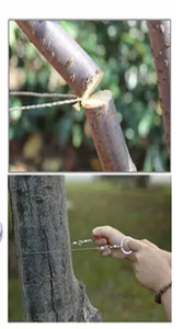 Mini SOS Viện trợ đầu tiên Survival <span class=keywords><strong>kit</strong></span> Swiss dao đèn pin <span class=keywords><strong>Kit</strong></span> Viện trợ đầu tiên cắm trại công cụ sinh tồn công cụ ngoài trời Đi Bộ Đường Dài Cuộc Phiêu Lưu - Product Image 4