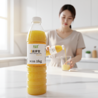 Purée de jus d'ananas congelé pour cocktails tropicaux (Pina Colada), mocktails, thés glacés, limonades, disponible en bouteille, faible teneur en matières grasses, OEM disponible