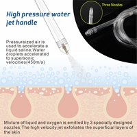 Appareil de beauté portable 2 en 1, pistolet à eau pour le visage, pulvérisateur d'oxygène, jet peel, machine faciale à oxygène pour salon