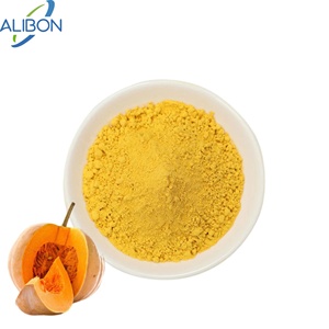 Poudre de citrouille 100% végétale de qualité supérieure - Product Image 1